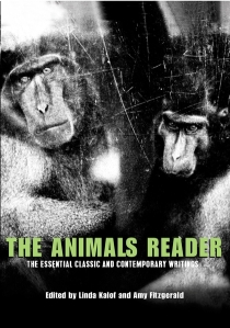 animals reader