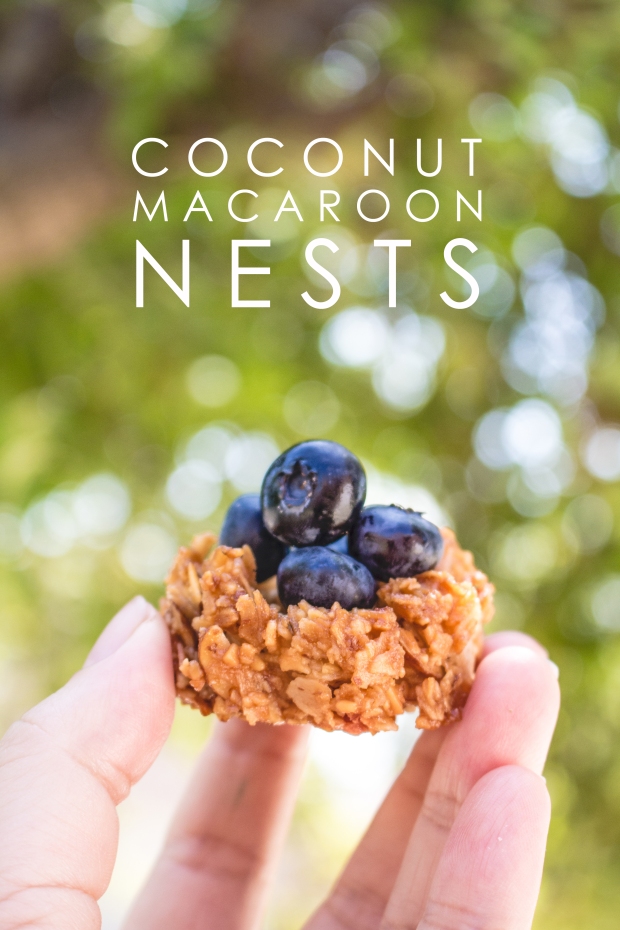 Mini Coconut Macaroon Nests | plantcrush.co